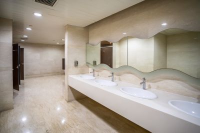 Luxurious Master Bathroom Renovation